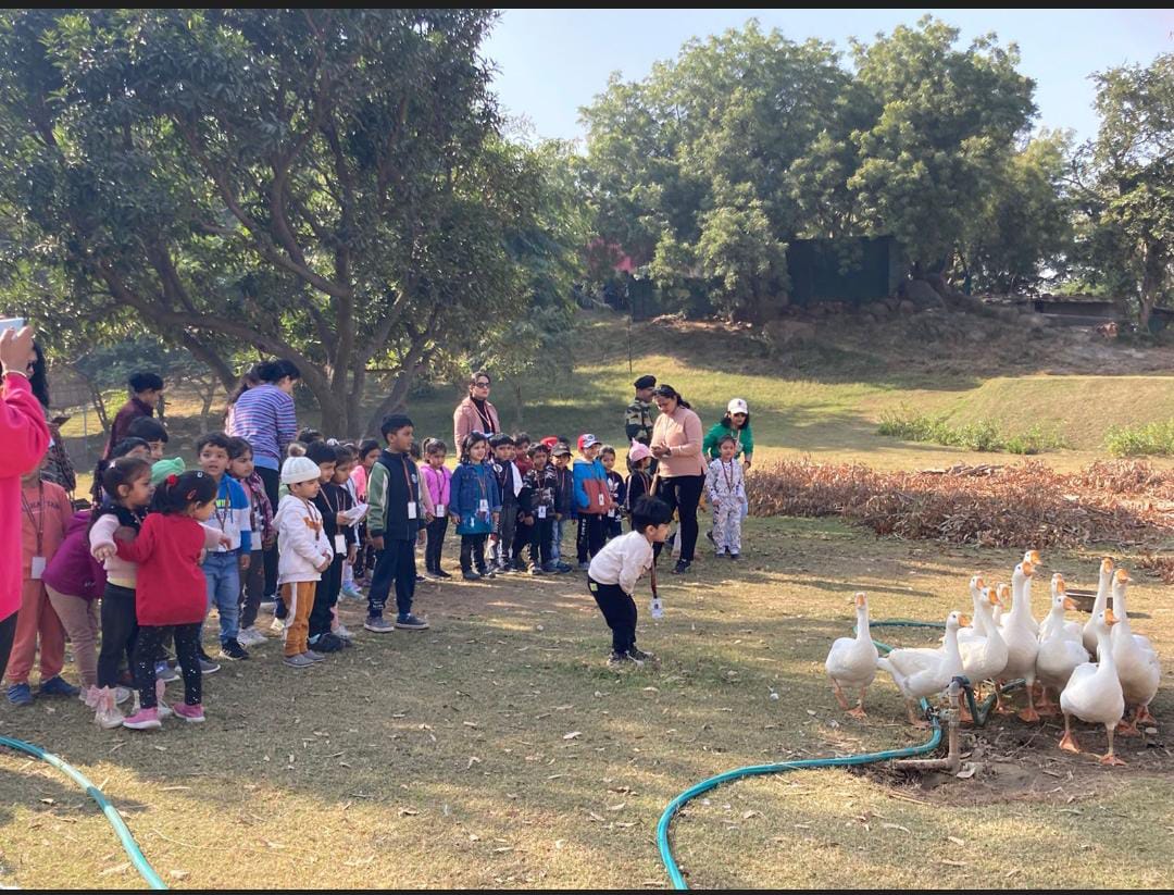 Field Visit 3